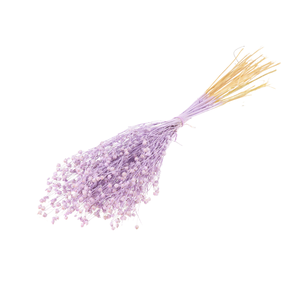 Linum Lilac Misty