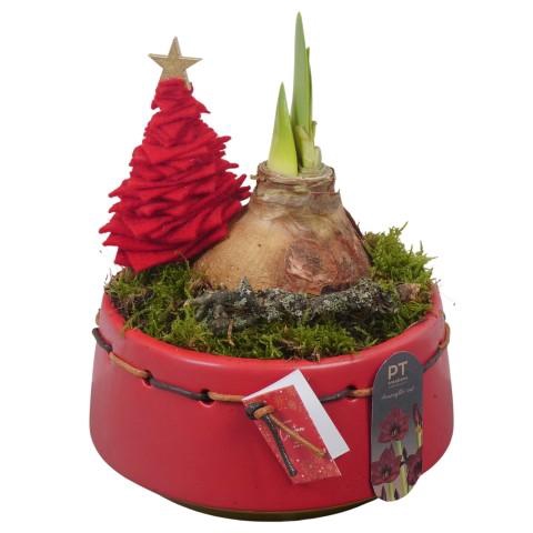 <h4>PTACH2506 Arrangementen Kerst</h4>