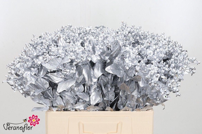 <h4>HYP OV KLB H%</h4>