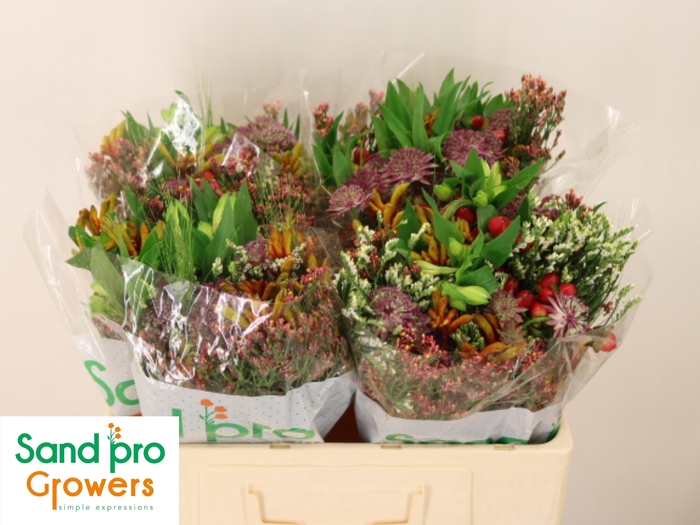 <h4>GEM ZOMERBOEKET</h4>