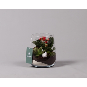 Glazen vaas met Kalanchoe en Succulent