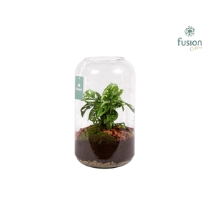 Green Bottle Isabella Large met Skindapsus