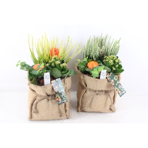 arr4 Outdoor MB - Jute zak XL