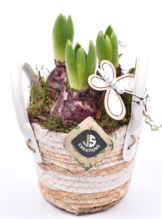 <h4>Maismand met oren Dia 13</h4>