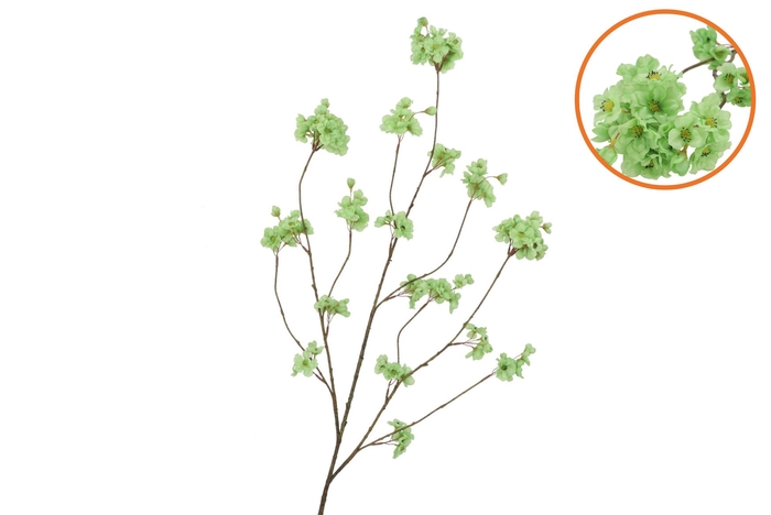 Silk Cherry Blossom Green 126cm