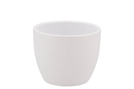 <h4>Ceramic White Matt Pot Orchid 8cm</h4>
