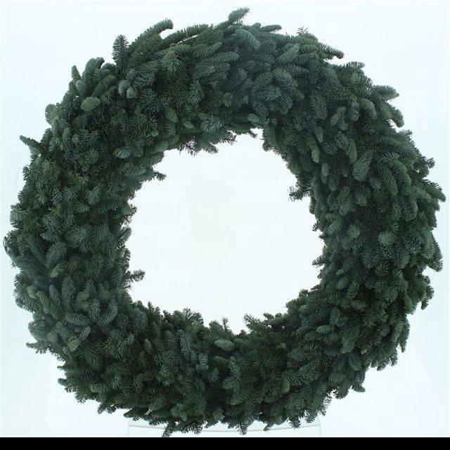 <h4>NOBILIS-KRANS H%</h4>