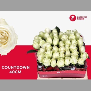 R GR COUNTDOWN!