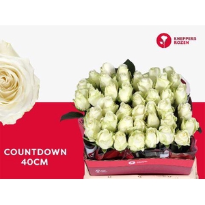 R GR COUNTDOWN! 40