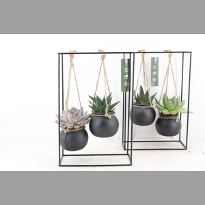 arr2 MB - Ijzer rek 2glas black bol