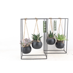 arr2 MB - Ijzer rek 2glas black bol