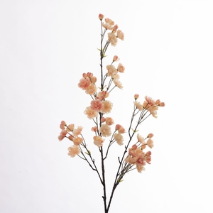 AF Cherry Blossom L133cm Peach