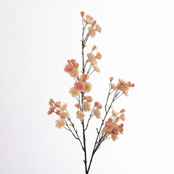 <h4>AF Cherry Blossom L133cm Peach</h4>