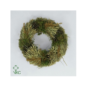 RING LAPPENMOS/BONSAIHOUT