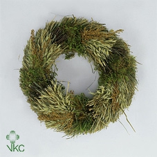 <h4>Ring Lappenmos/bonsaihout</h4>