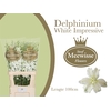 Delphinium Impressive White