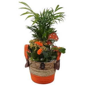 PTHI3299 Arrangement Autumn Indoor in rieten mand