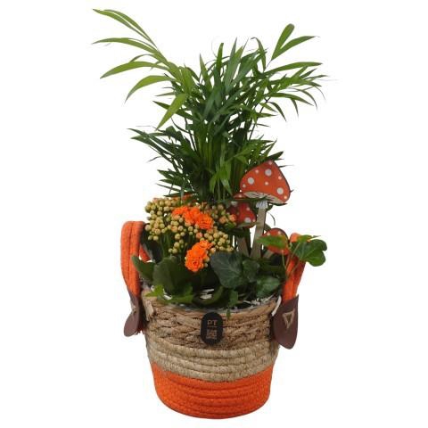<h4>PTHI3299 Arrangement Autumn Indoor in rieten mand</h4>