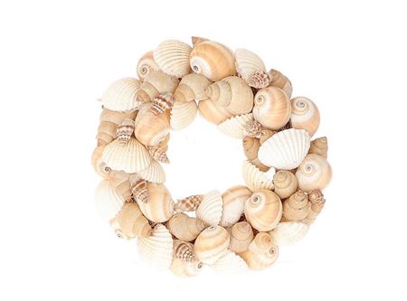 <h4>Wreath Shell Mattu H5D15</h4>