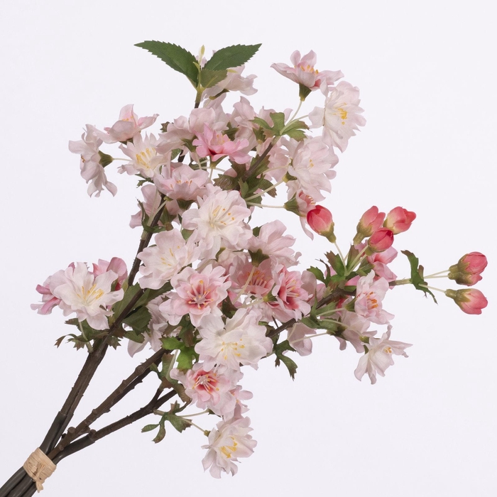 <h4>Cherry Blossom Bundle Pink BK770007PNK</h4>
