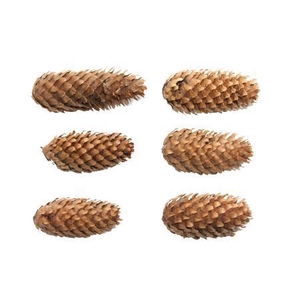 Deco Pinecone Spruce 5kg Natural