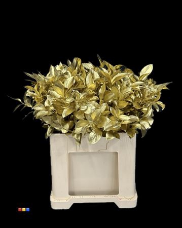 <h4>Ruscus Gold</h4>