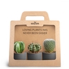 3-Pack Raw Black