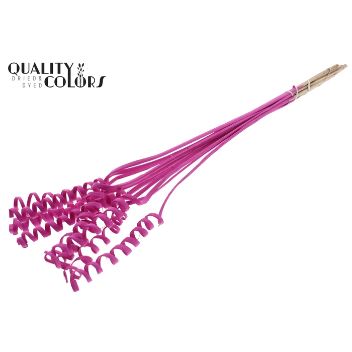 <h4>Cane Spring on stem Covered Cerise</h4>