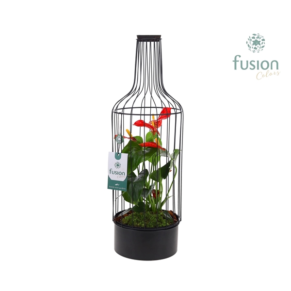 <h4>Fles metaal zwart Large met Anthurium</h4>