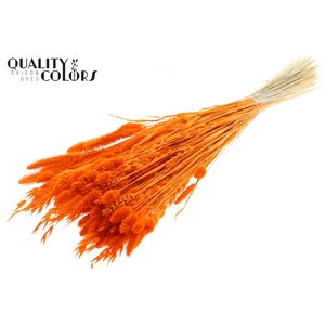 Dried Flower Mix bunch Bleached Orange