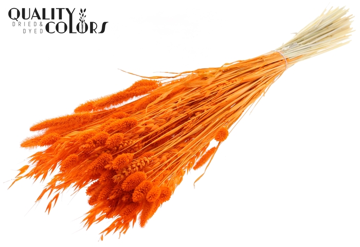 <h4>Dried Flower Mix bunch Bleached Orange</h4>