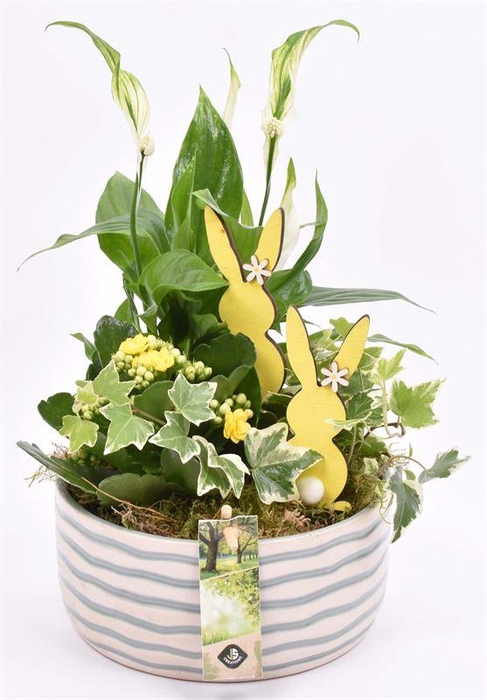 <h4>Keramiek schaal golf 18cm</h4>