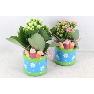 arr2 JS - Ker. pot pencil - roze/wit