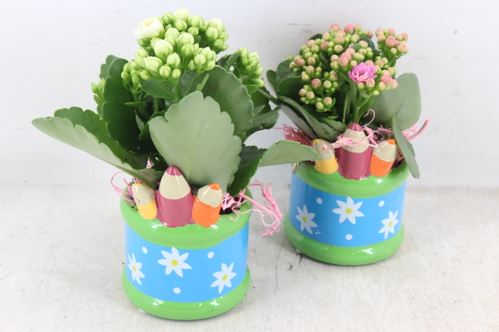 <h4>arr2 JS - Ker. pot pencil - roze/wit</h4>