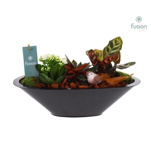 Schaal zink antraciet met Arrangement