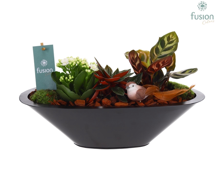 <h4>Schaal zink antraciet met Arrangement</h4>