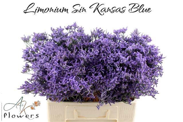 <h4>LIM SIN KANSAS BLUE</h4>