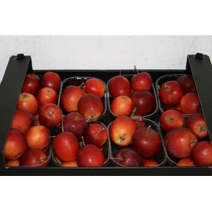 Sier Appels Rood P. Doos