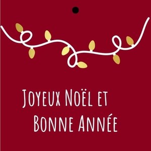 Christmas Card 7*7cm x20 Bonne annee