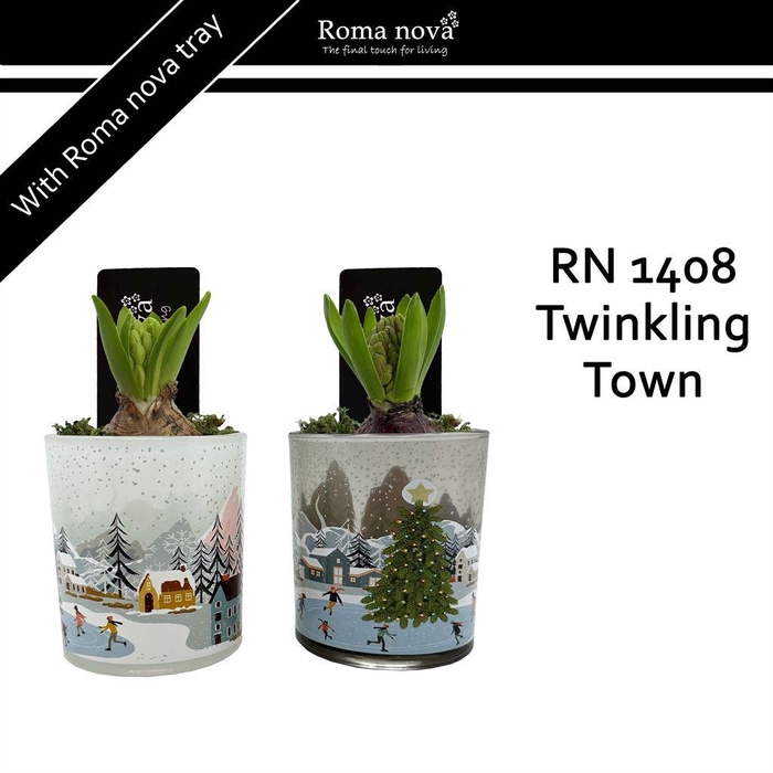 <h4>Arr.  Hyacinthus L%</h4>