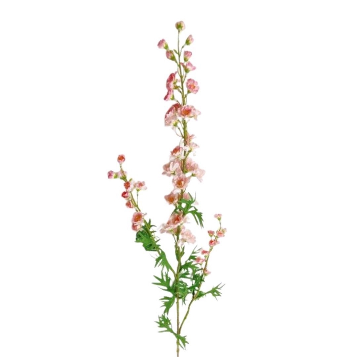 <h4>Delphinium  86cm</h4>
