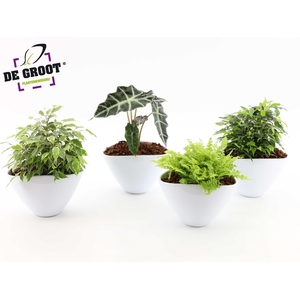 Groenmix in envelopppot