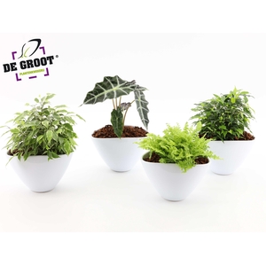 Groenmix in envelopppot