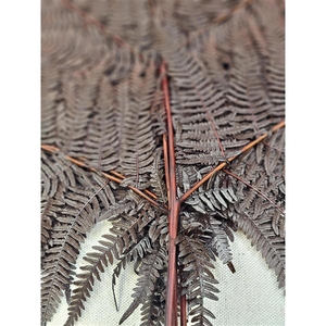 GESTABILISEERD VAREN CAFE