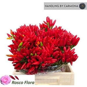 Cap Red Fire