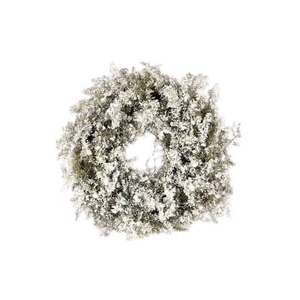 Wreath Asparagus Snow D20