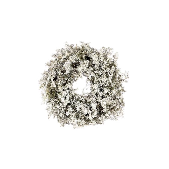 <h4>Wreath Asparagus Snow D20</h4>