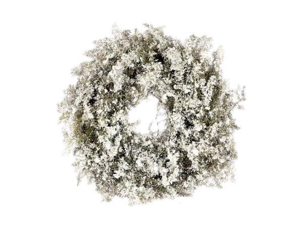 Wreath Asparagus Snow D20