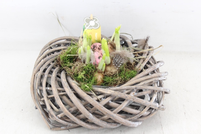 <h4>arr4 Narcis PL - Gevlochten mand 4kant</h4>