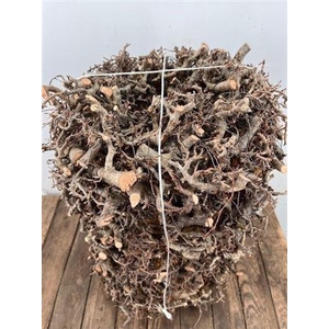 Wr Bonsai 30cm Natural